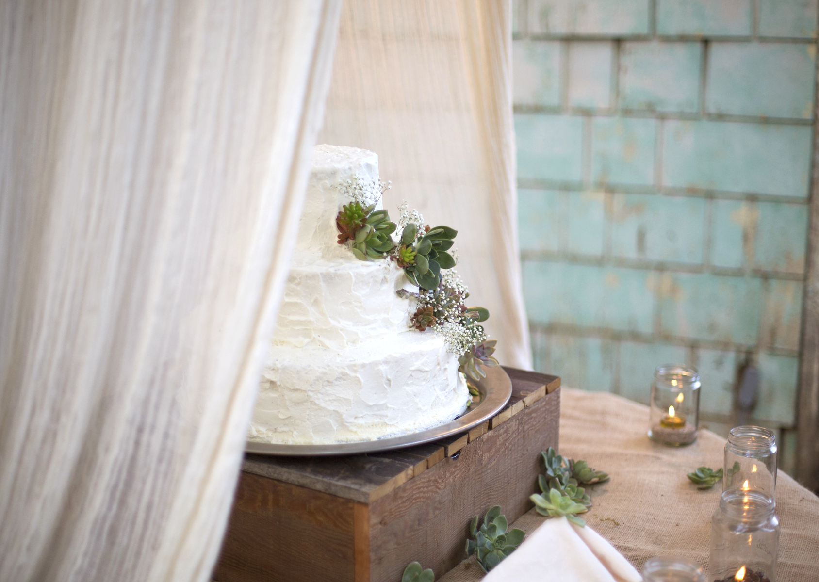 rustic succulent wedding cake